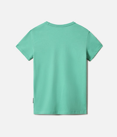 Short Sleeve T-Shirt Box-